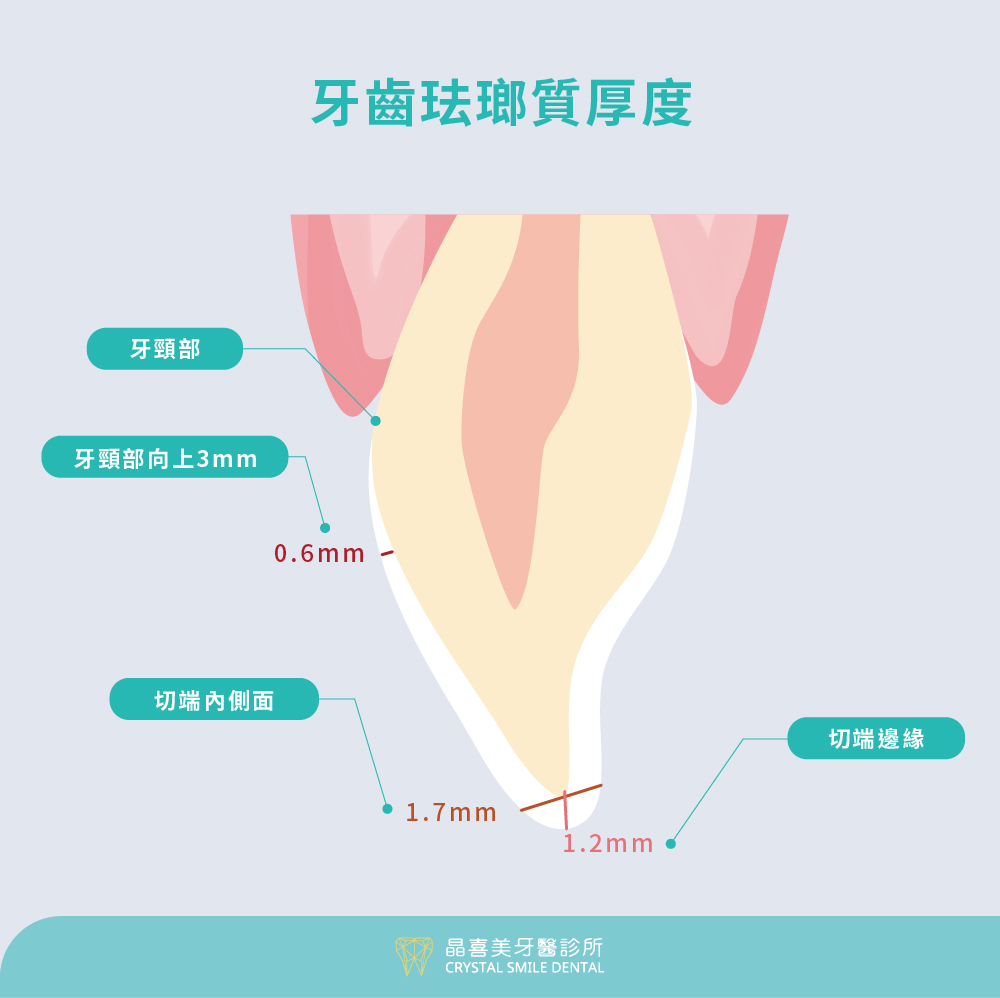 健康牙齒的珐瑯質厚度